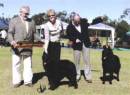 Marnie Best of Breed and the Runner Up BOB dog