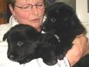Pat (Bonnie's mum) and pups - Bonnie on the right