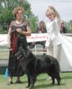 Nikki wins RUBOB - pictured with judge Angela Barbe (Ndl) handled by Jan Carroll