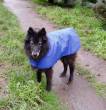 I'm nice and warm in my new coat - 13 yrs old